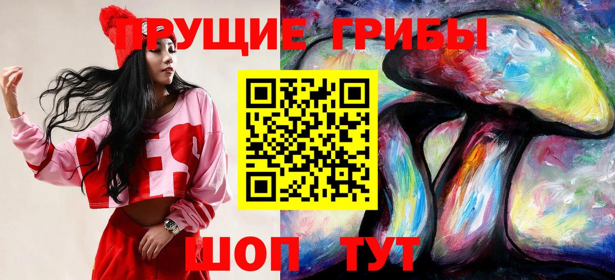 Псилоцибиновые грибы GOLDEN TEACHER Бутурлиновка