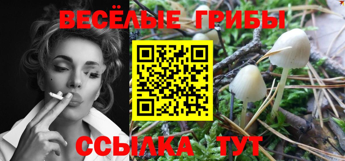 Галлюциногенные грибы GOLDEN TEACHER  Вход с VPN  Бутурлиновка 
